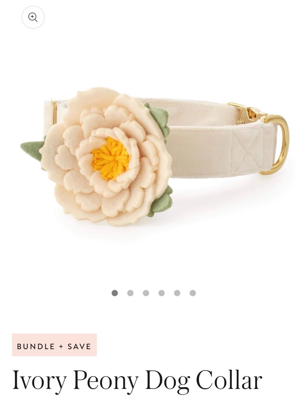 Ivory Peony Dog Collar with Flower Accent